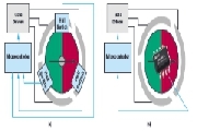 雙AMR電機(jī)位置傳感器，適用于安全關(guān)鍵應(yīng)用