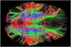 醫療的未來：當新興科技用于醫療實踐