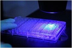 生物醫學成像：機器視覺攝像頭技術規格選擇及計算方法指南