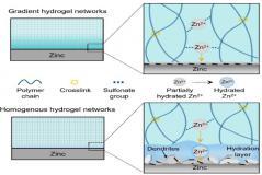 理化所開發出梯度凝膠電解質