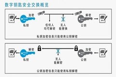 UWB技術引領汽車安全與互聯駕駛的新紀元