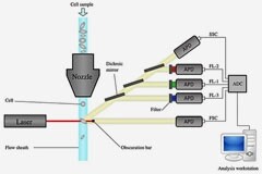 解決了！這個模塊解決了流式細(xì)胞儀設(shè)計(jì)的多個痛點(diǎn)！