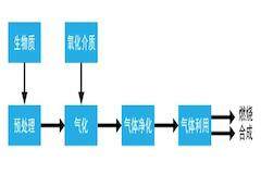 生物質制氫介紹
