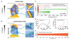 我國科學家成功揭示固態(tài)電池短路機制