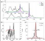 中國科學院寬角非共線光參量啁啾脈沖放大系統原型機研制獲進展