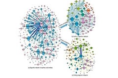 英特爾聯(lián)手Katana Graph，加速提高大規(guī)模圖形分析效率