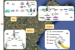 新世界紀錄：中國科大成功實現 500 公里量級現場無中繼光纖量子密鑰分發