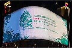 集創北方LED產品助力裸眼3D技術呈現生物多樣之美