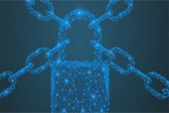 新思科技聚焦開源治理 助力提升中國開源產業安全及合規水平