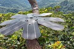 英飛凌與Rainforest Connection合作，利用先進的傳感器技術保護雨林