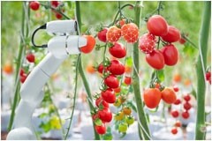 農(nóng)業(yè)的智能未來