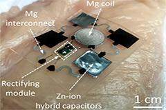 蘭州大學成功研發柔性、可生物降解的超級電容器植入物