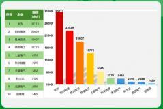 年度榜！188GW光伏逆變器中標(biāo)！