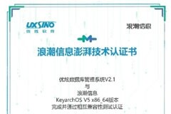 優(yōu)炫數(shù)據(jù)庫與KeyarchOS完成浪潮信息澎湃技術(shù)認證