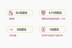 緯湃科技發(fā)布2024財(cái)年第二季度財(cái)報(bào)：盡管充滿挑戰(zhàn)但盈利能力提升