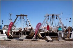 菲亞特動(dòng)力科技致力實(shí)現(xiàn)碳中和