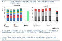 IEA：全球氫能需求今年將達1億噸！中國電解槽產能占八成！