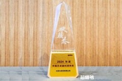 實力硬核！大聯大榮獲2024年度“中國芯卓越代理商獎”