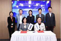 匯頂科技 2024 年業績亮眼，展現強勁發展韌性