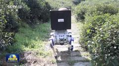 我國(guó)智能機(jī)器人場(chǎng)景落地創(chuàng)新加速，實(shí)現(xiàn)采茶 / 巡檢 / 無(wú)障礙輔助等人機(jī)協(xié)作新方式