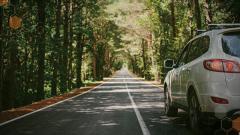 安森美和舍弗勒擴大合作，推出基于EliteSiC的 新型插電式混合動力汽車平臺