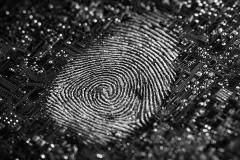 將觸感轉(zhuǎn)化為真實體驗：TITAN Haptics以科學精度賦能觸覺設(shè)計