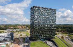 荷蘭安世再發聲明：張學政未復職CEO，中國工廠拒付貨款已暫停供貨