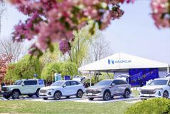 曾估值10億美元，毫末智行“原地解散”