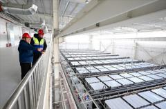國內最大！銀川電網側鉛碳儲能電站投運