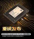 紫光閃芯推出全棧國(guó)產(chǎn)化架構(gòu)企業(yè)級(jí) PCIe 5.0 固態(tài)硬盤紫光閃存 E5200