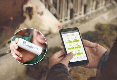 艾邁斯歐司朗先進的高精度溫度傳感器助推動物健康管理